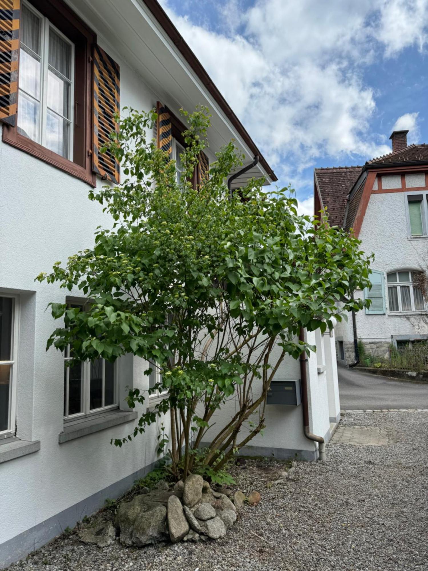 Villa Garden House Entrelagos Exterior foto